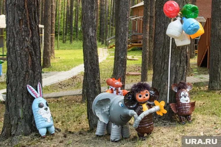 Детские загородные лагеря будут работать в штатном режиме