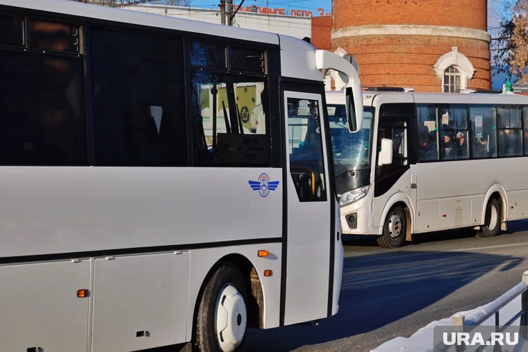 В Ленинградской области произошло ДТП с автобусом, есть пострадавшие