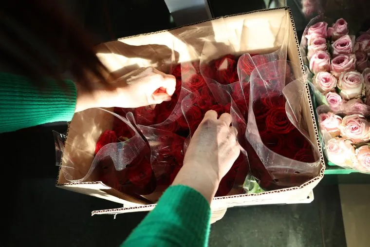 Салон цветов. Курган