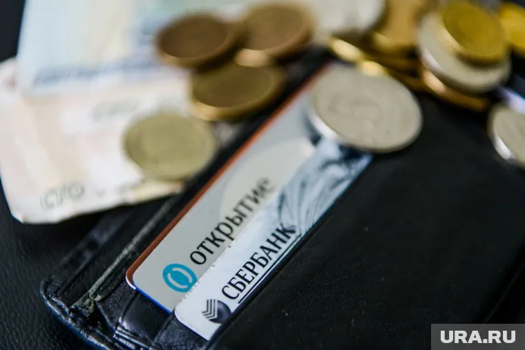 В России появится новая система единого государственного информационного обеспечения