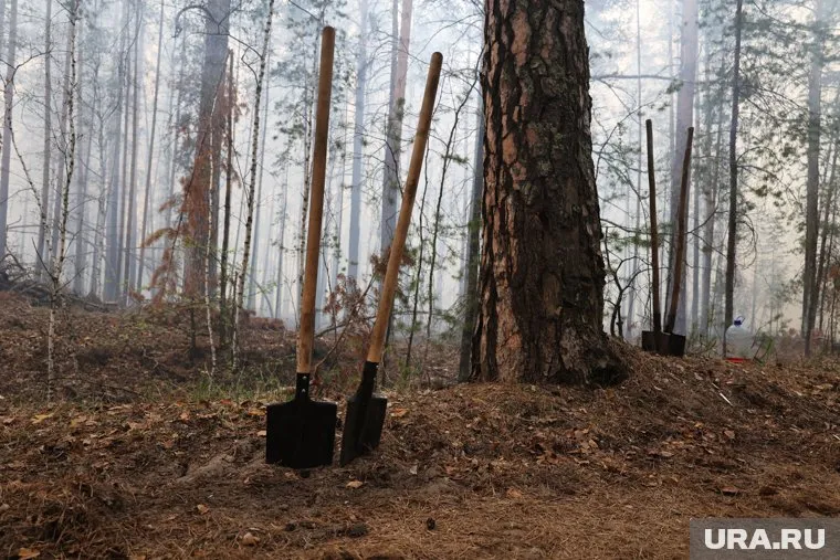 Из-за ложного свидетельствования причина пожара может быть не раскрыта, отметил Константин Кузнецов