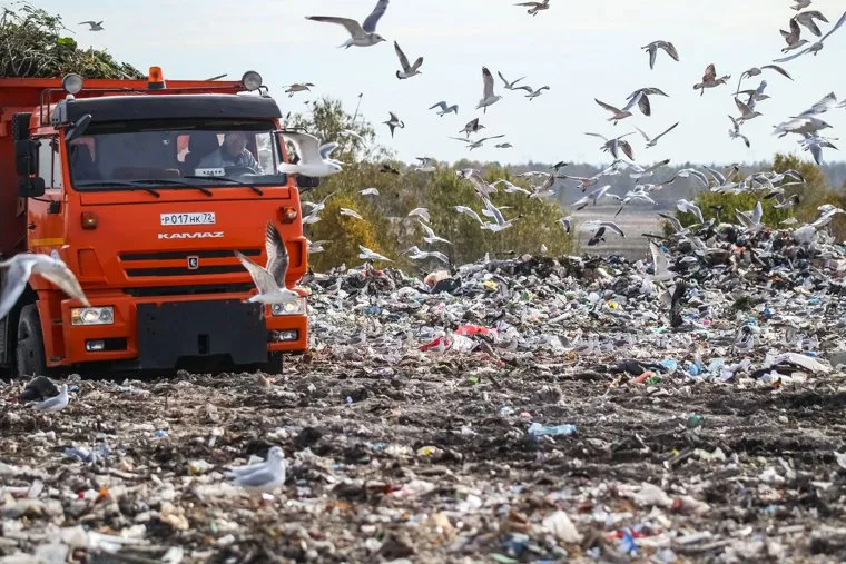 Проверка ОНФ и Общественной палатой Тюменской области полигона твердых бытовых отходов на Велижанском тракте. Тюмень, птицы, экология, отходы, полигон ТБО, мусор, свалка, чайки