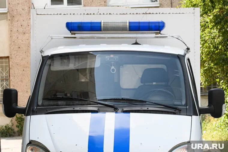 В Курганский суд поступила апелляционная жалоба осужденного боксера Вазира Тамояна