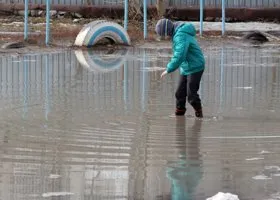 Уровень воды в Оби вырос