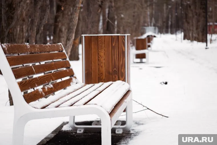 В последние дни декабря 2024 года в Челябинске ожидается снег