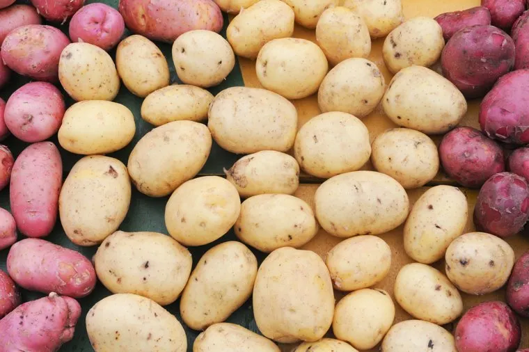 Алексей Текслер на открытии выставки АГРО-2024. Челябинск