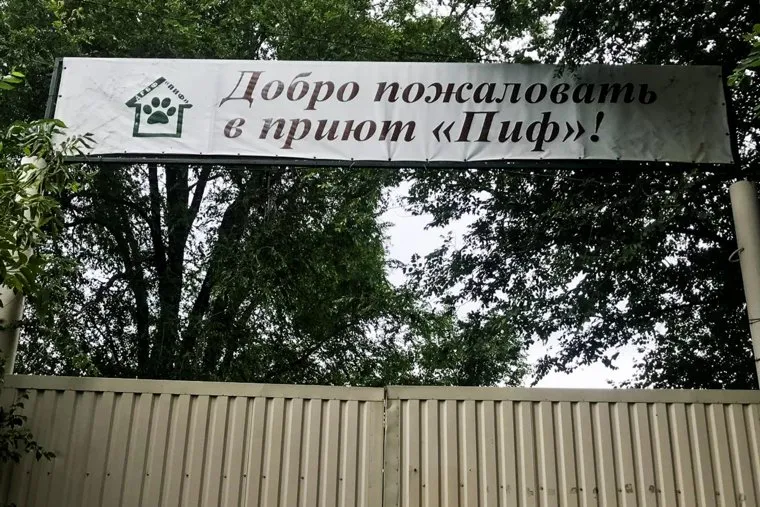 Собачий приют. Донецк