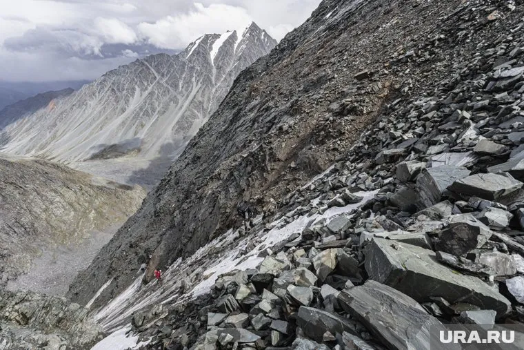 МВД запустило проверку информации о Наговициной