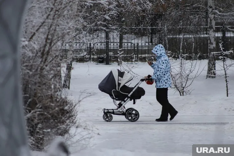Государству удалось повысить рождаемость, но эффективность программы маткапитала под вопросом