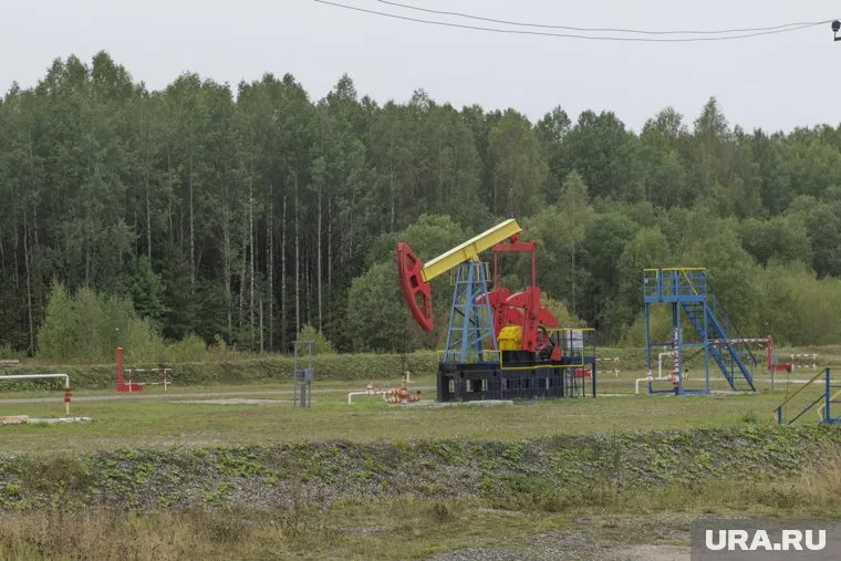 Стоимость нефтяного месторождения — 55 млн рублей