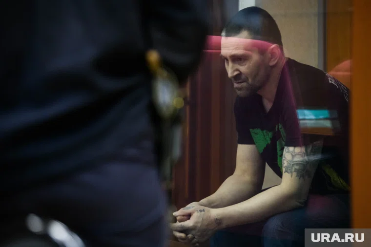 Дмитрию Кучину на днях вынесут приговор. Вероятнее всего, его отправят в психбольницу