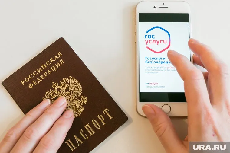 Через Госуслуги можно подать заявление на зачисление до 25 июля на бесплатную форму обучения