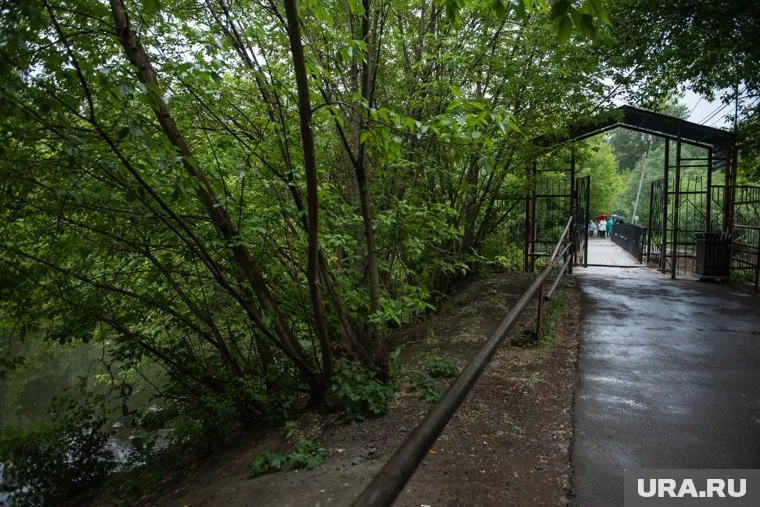 В Перми в Балатовском парке грабитель напал на женщину с ребенком на центральной аллее