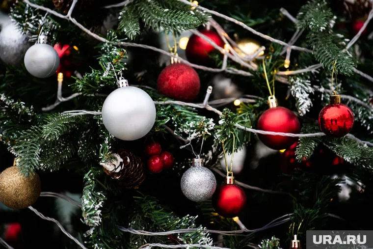 В "Стране Девелопмент" узнали, кто и когда наряжает новогоднюю ель