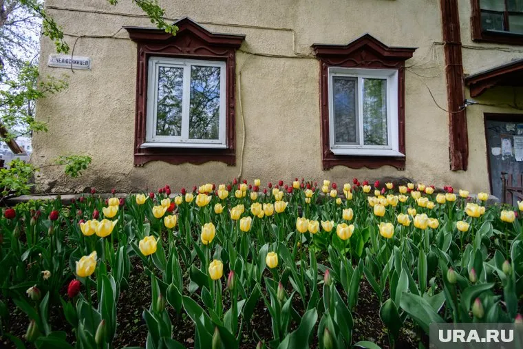 «Вторичка» дорожает быстрее, чем новостройки