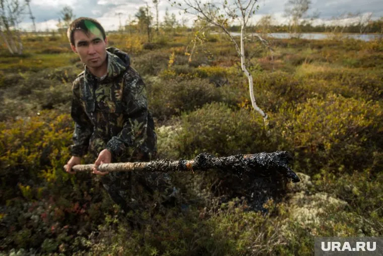 Нефть слили в болото и засыпали сверху торфом и мхом