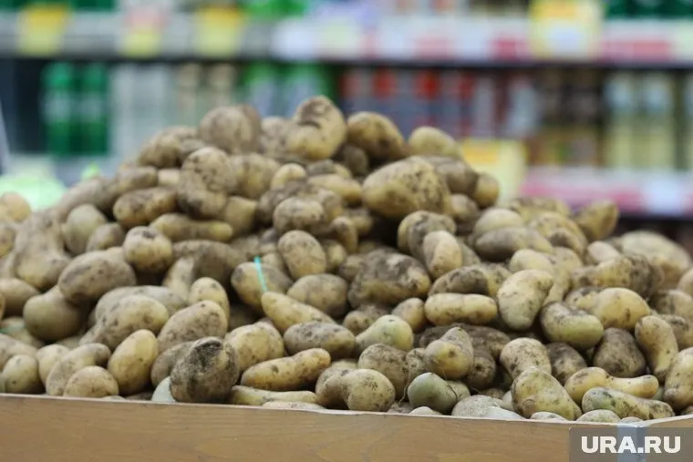 Цены на картофель продолжат расти