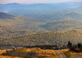 С «Ангары», чей самолет рухнул под Тындой, потребовали деньги за разрушенный лес