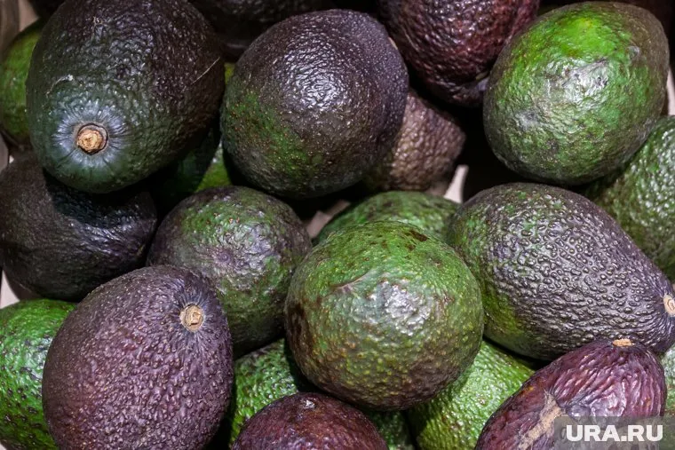 В домашних условиях можно вырастить личи, манго и авокадо