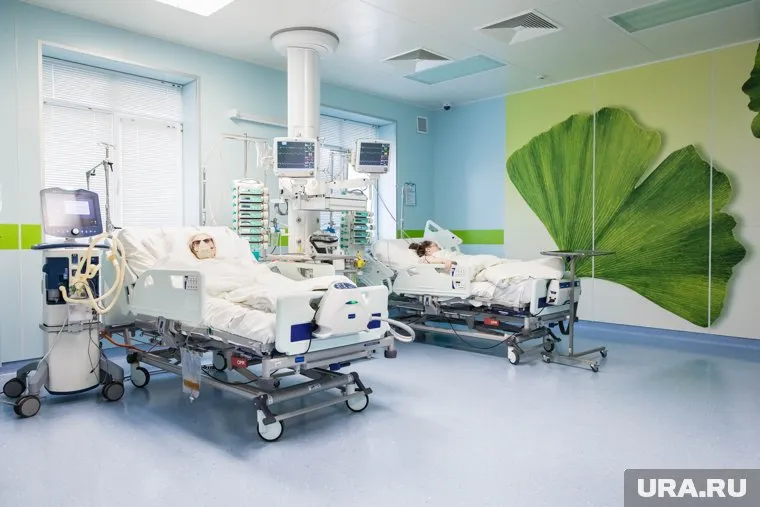 Штамм «Пирола» недостаточно изучен, отметил Александр Чепурнов