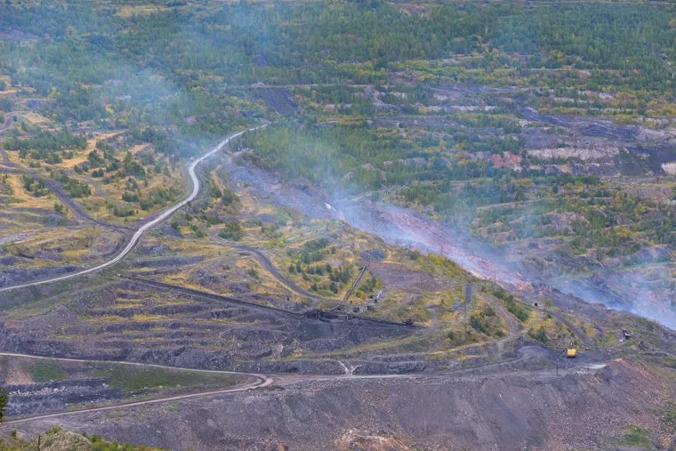 Коркино. Роза. Челябинск.
