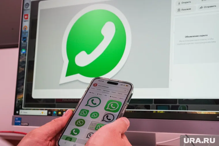 В Роскомнадзоре сообщили, что WhatsApp* и Telegram блокируются для защиты граждан 
