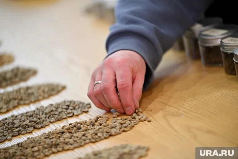 Необычный кофе появился из-за жадности европейцев