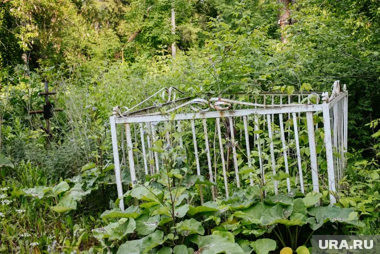 Родственники потребовали наказать виновных в погроме на кладбище