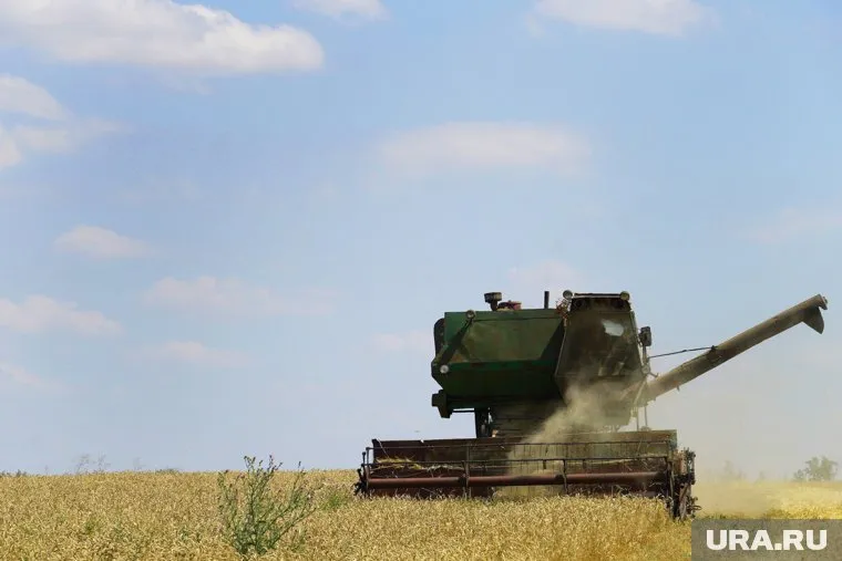 На агропредприятии «Миллениум» в разгар уборки урожая за сутки уволилось 7 рабочих