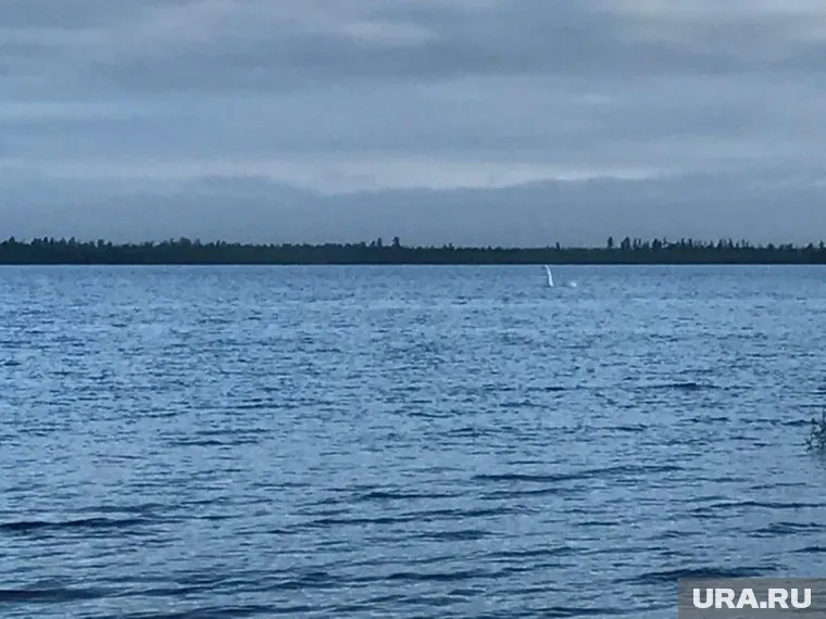 Объект похож на лохнесское чудовище