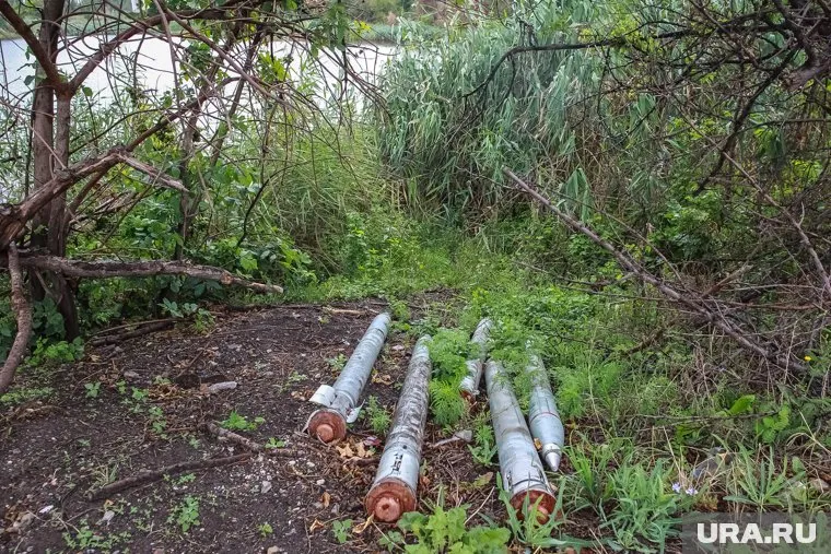 В Красноуфимском лесу нашли боеприпас