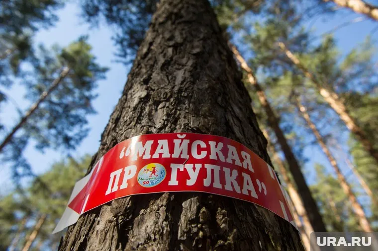 Горожане смогли выиграть призы благодаря своим знаниям и силе