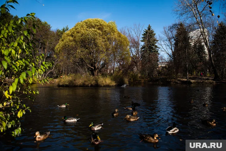 Теперь горожане смогут гулять в освещенном парке
