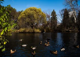 В старейшем дендрарии Екатеринбурга появились плоды масштабной реконструкции