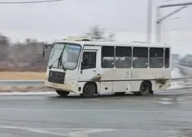 Фотография из галереи