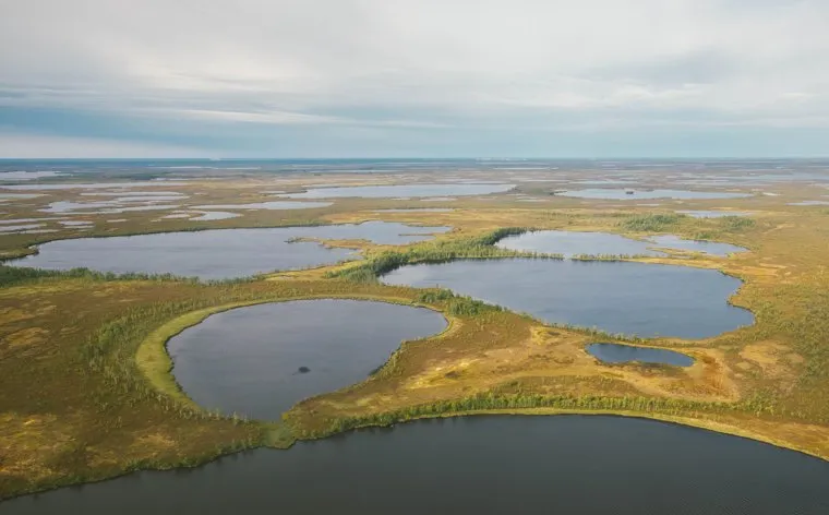 Клипарт. Сургут