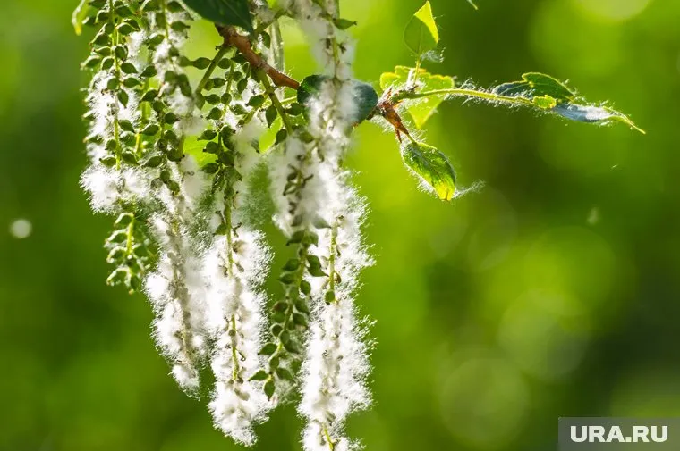 В выходные воздух в некоторых регионах страны прогреется до +27