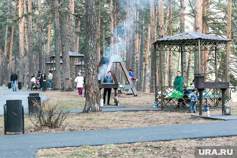 Беседки в Гилевской роще находятся в свободном доступе 