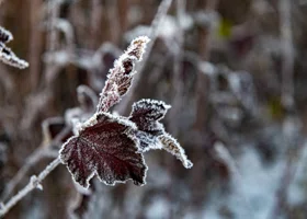 Свердловскую область накроют снегопады и аномальные морозы: МЧС предупредило о резком похолодании