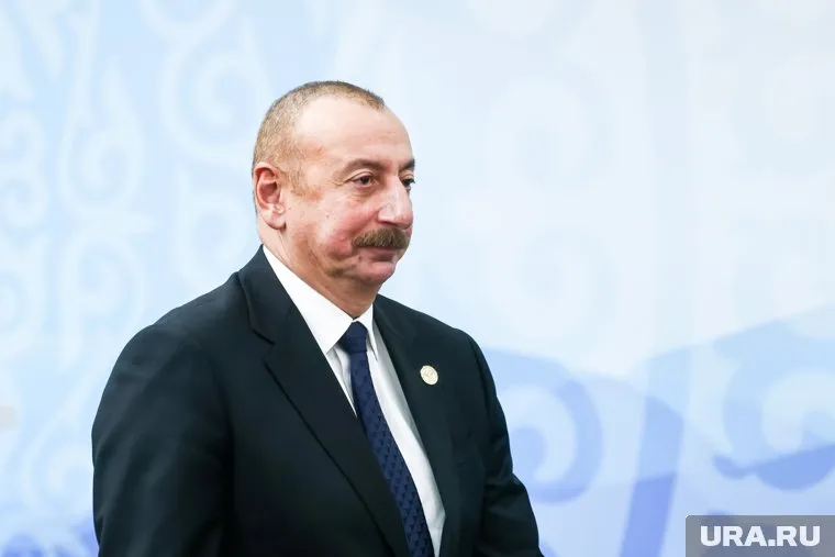 Алиев призвал наказать виновных в крушении самолета