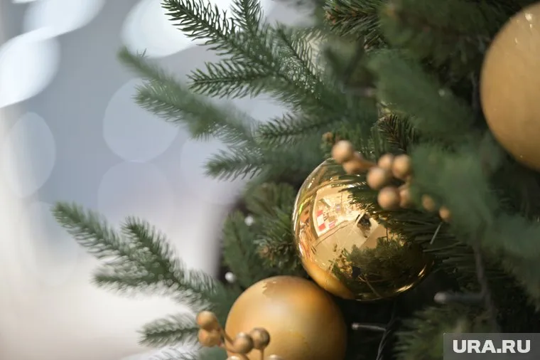 Жители Бажово высмеяли установленную новогоднюю ель