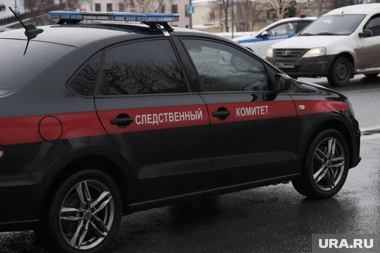 В ходе проверки следователь СКР выясняет все обстоятельства (архивное фото)