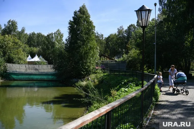 Мэрия Куртамшского округа (Курганская область) подала в суд на московских подрядчиков из-за недоработок (архивное фото)