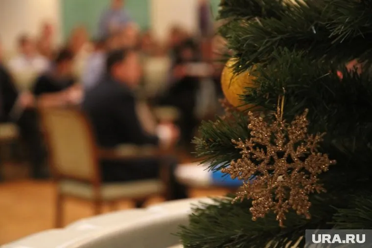 Билет на губернаторскую елку стоил три тысячи рублей