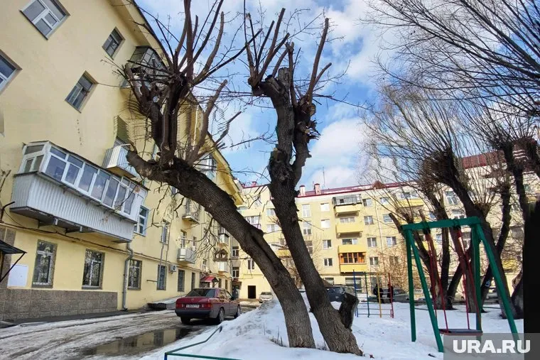 В Кургане и Шадринске отремонтируют почти 150 дворовых территорий