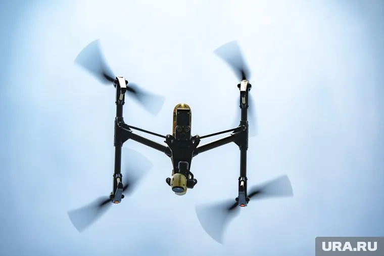 Беспилотник ВСУ был подбит над деревом (фото из архива)