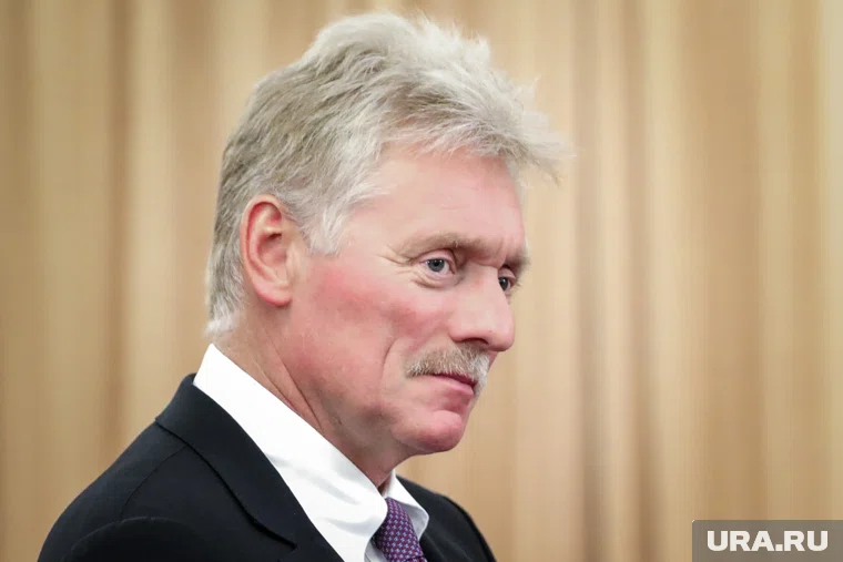 Песков прокомментировал ситуацию вокруг пекарни «Машенька»