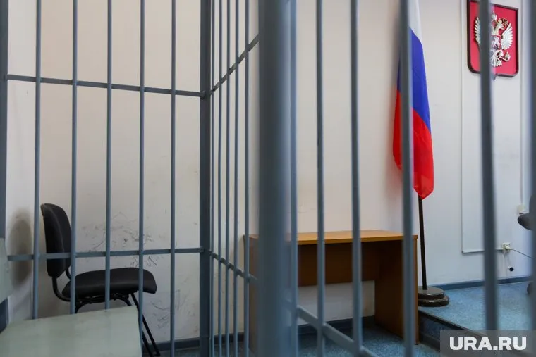 Насильник отправится в колонию строгого режима на семь лет
