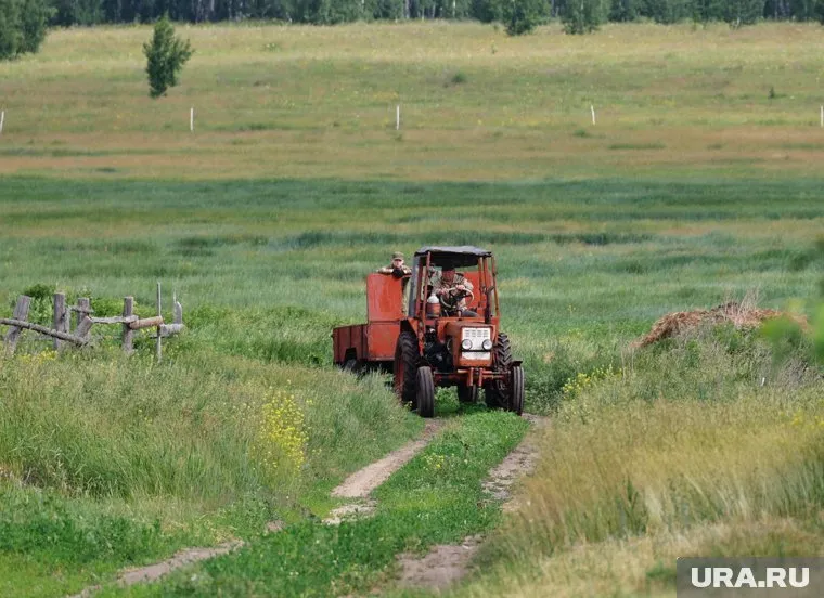 В Курганской области трактор выкосил поле с запрещенной травой
