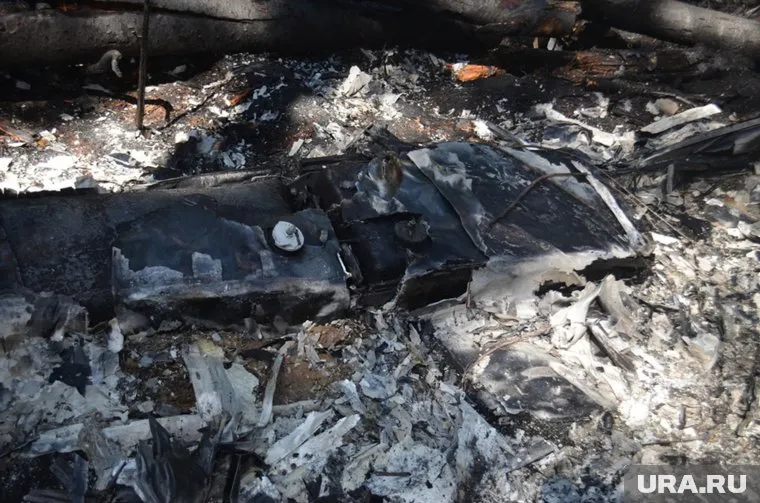 Польские власти отказываются верить выводам МАК о крушении президентского самолета (архивный снимок)